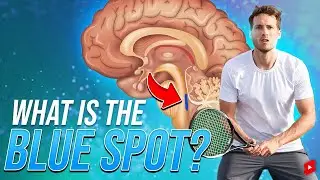 Can a tiny blue area in the brain energize your sports performance?