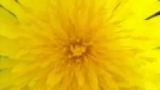 Nature's Gifts