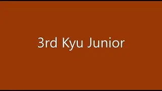 3rd Kyu Junior