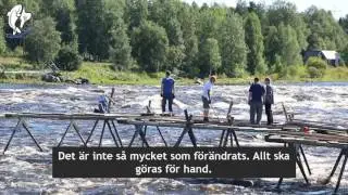 Krenkun rakentaminen - Patabyggandet