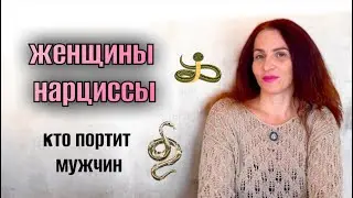 ЖЕНЩИНЫ-НАРЦИССЫ🐍змеиное логово / ОПАСНО ДЛЯ МУЖЧИН 