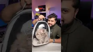 Transparent Cat Travel Bag Unboxing | Stylish & Pet-Friendly Carrier! #bag #pets #cats