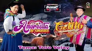 TORIL CON AMOROSITA DE YANANACO Y GATITO CORAZON⏩TEMA: TORO VELAY⏪VIDEO TORIL 2024( VOZ Y CANTO)