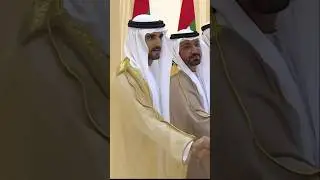Sheikh Hamdan Fazza Dubai Crown Prince Wedding Celebrations #faz3 #fazza #short #shorts #dubai #dxb