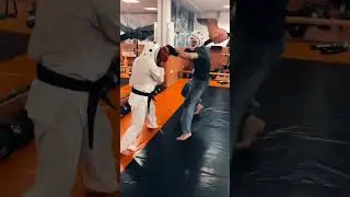 Лоу +маваши рабочая комбинация . Нокаут #kudo #shorts
