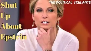 ABC Journalist Admits Network Killed 2016 Epstein Story &mdash; The Political Vigilante