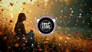 DropVibe - Falling Faster