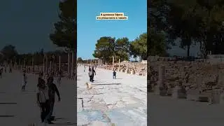 #ephesus #ancient #street #column #travel #sightseeing #turkey #древнийгород #улица #колонна #турция
