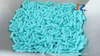 RoyalPharma NJP-3500 Powder Automatic Capsule Filling Machine