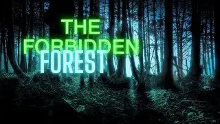 The forbidden forest (real story)