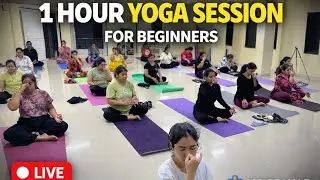 Start Your Yoga Journey Today | 1 Hour Live Beginner Yoga