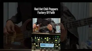Red Hot Chili Peppers - Factory Of Faith Bass Cover with Kemper #shorts
