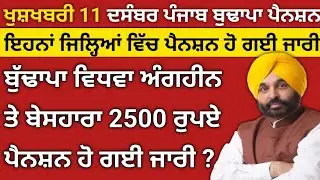 11-12-2025 Punjab Budapa Pension Update News Today।