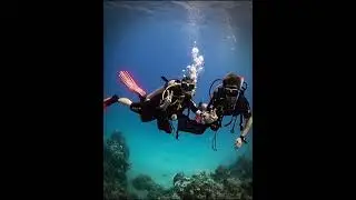 Yanbu Scuba Diving Without License &ndash; Explore the Underwater Magic of Saudi Arabia