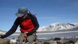 Antarctica - Looking for Soil Microbial Activity