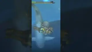 Sharqskin - Monster Hunter 3 Ultimate