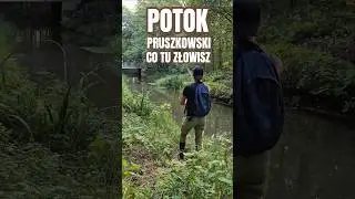 Pruszkowski Potok CO TU ZŁOWISZ ? Jak wygląda ? (Woj.Opolskie) #spining #ryby #rzeka