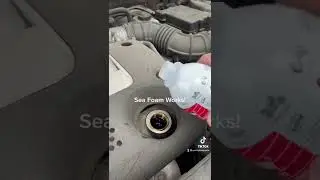 Seafoam in a sludgy Kia