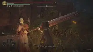 ELDEN RING: Hyetta throws up after hearing the truth about Shabriri Grapes