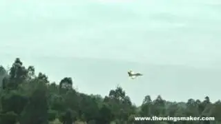 Thewingsmaker GE032 DF-032 Panther