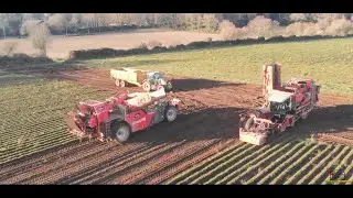 🥕❄ XXL Arrachage de Carottes dans le Morbihan😱 2x DEWULF & 2x FENDT 🚜💨 COOPERATIVE EUREDEN