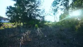 Cinematic Test Zhiyun Crane M Sony Camera Kit Lens