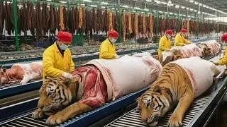 Inside the Tiger Leather Factory &ndash; Full Process How Million-Dollar Items Are Made