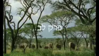 התיקון הכללי עם קטעי נוף מדהימים חלק-1 hatikun haklali