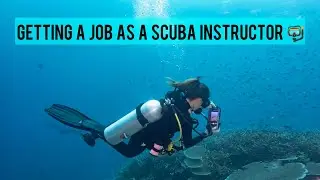 Getting a Job as a Scuba Instructor