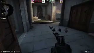 my chickens csgo