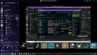 haisy biat videosu