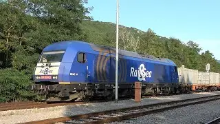 Beacon (Rail & Sea) intermodal freight train, Locomotive: Hercules 003-5, Lupoglav 24.7.2024