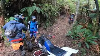 Karapoti trails 300 exc tpi
