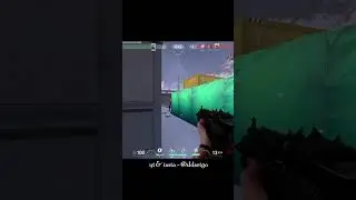 POV: When Sage revives right guy #shorts #valorant #gaming