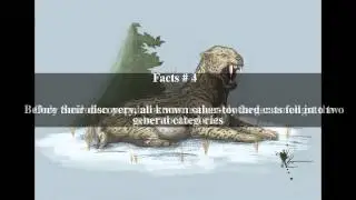Xenosmilus Top # 5 Facts