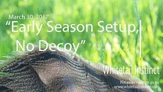 Turkey Hunting WITHOUT DECOYS: Turkey Decoy Setups
