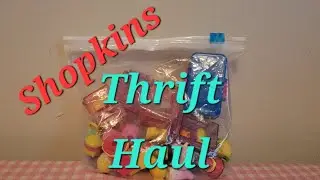 Shopkins Thrift Haul - Who Did We Find? January 2026