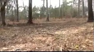 Chehaw opens waterfront to campers