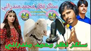 war to Khali ,#singer najar Mohammed shayad taimur Khan Mundra Rani 2024