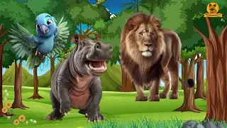 Collection of cute animal sounds: Hippo, Lion, Eagle, Antelope, Panther - Cute Animal Moments