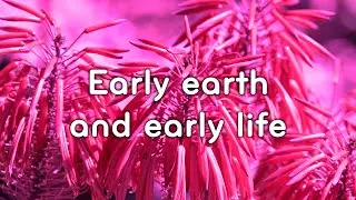 Early earth and early life co-evolution | Stefan Lalonde | Geochemist
