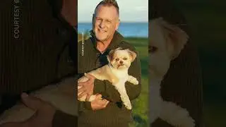 Dave Coulier shares how his dogs brought comfort during chemo