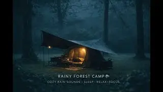 Silent Camping in the Rain | Rainy Forest 🌧 | Sleep Peacefully with Rain Sounds