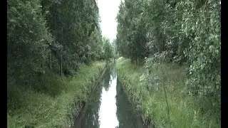 Die alte Niers kommt zurück!