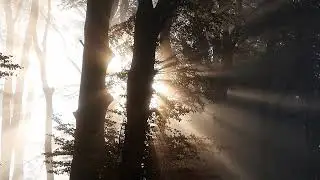 NATURAL CONTENT 4K