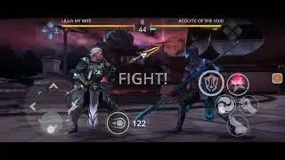Shadow Fight 3: Burial Centurion vs Raid bosses