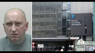 Repeat offender 'Billy the Pigeon' dies in hospital, aged 46