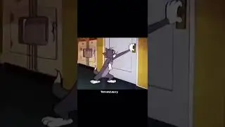 #jerry #tom #jerryboy #tomandjerry #tomandjerrycarton #wbkids #jerry #jerryboy #jerry