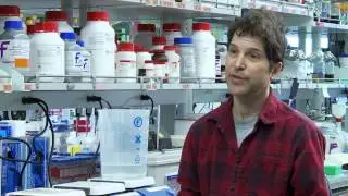 The Molecular Engineering and Sciences Institute, University of Washington