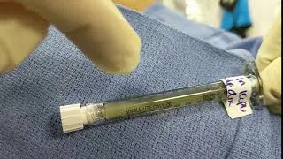This is What 20 Million Stem Cells Look Like
